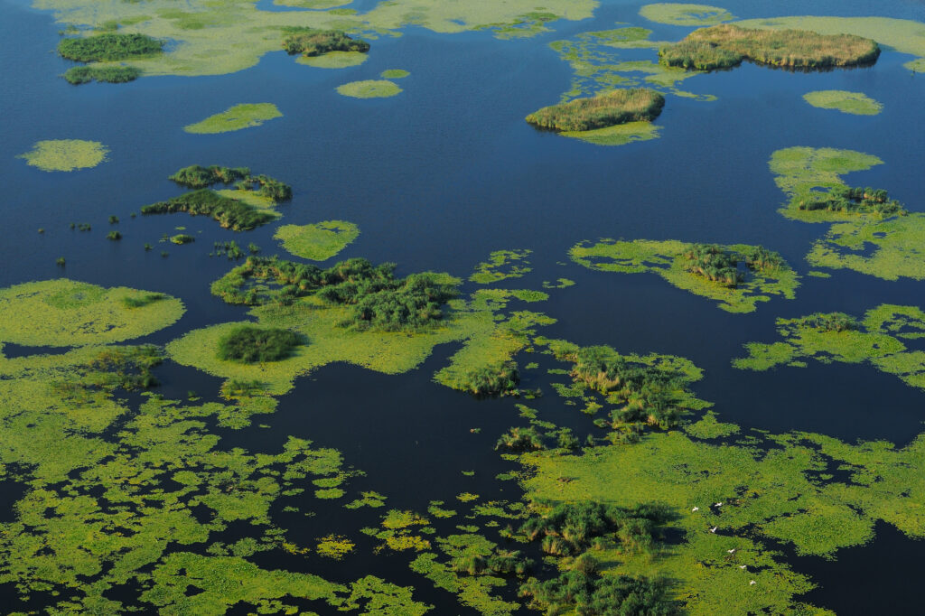 Aerials over the Danube delta rewilding area, Romania