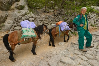 Čuvar prirode s utovarenim mulama na glavnoj stazi Nacionalnog parka Paklenica