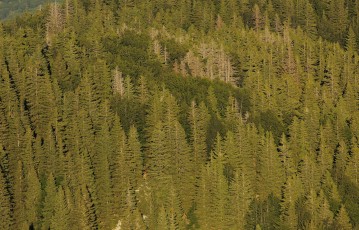 North Velebit National Park
