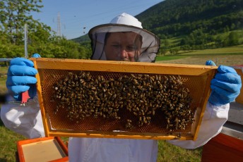 Prize winning bee keeper Sanjin Zarkovic at his bee farm in Melnice, Velebit Nature Park